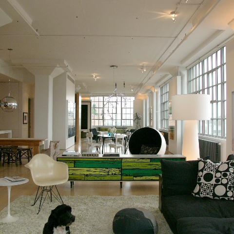 apartment, modern, contemporary, bohemian, 