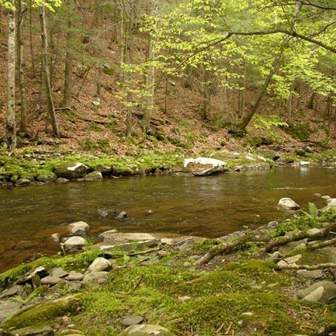 rustic, water, rural, traditional, 