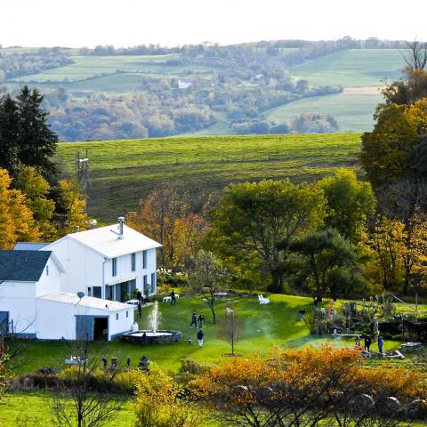 farm, farmhouse, barn, field, contemporary, light, airy, 