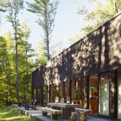 cabin, glass, wooded, light, airy, contemporary, 