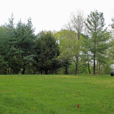 suburban, pool, garden, 