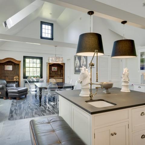 Hamptons, contemporary, bathroom, kitchen, horse, light, 