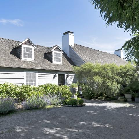 Hamptons, contemporary, bathroom, kitchen, horse, light, 