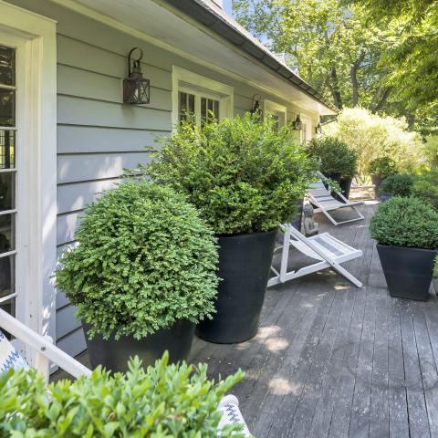 Hamptons, contemporary, bathroom, kitchen, horse, light, 