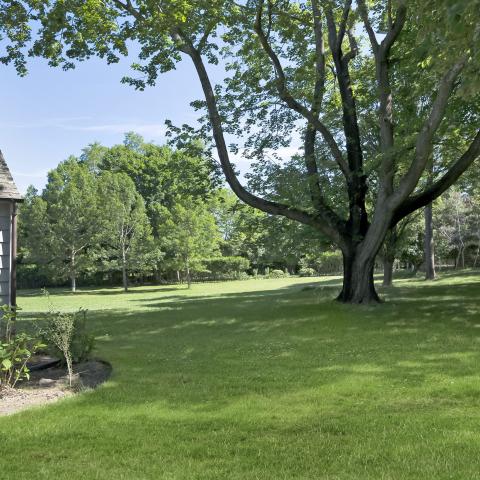 Hamptons, contemporary, bathroom, kitchen, horse, light, 