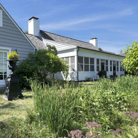 Hamptons, contemporary, bathroom, kitchen, horse, light, 