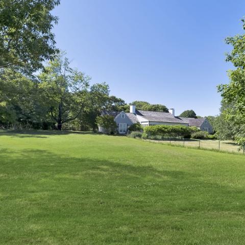 Hamptons, contemporary, bathroom, kitchen, horse, light, 