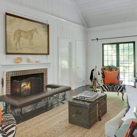 Hamptons, contemporary, bathroom, kitchen, horse, light, 