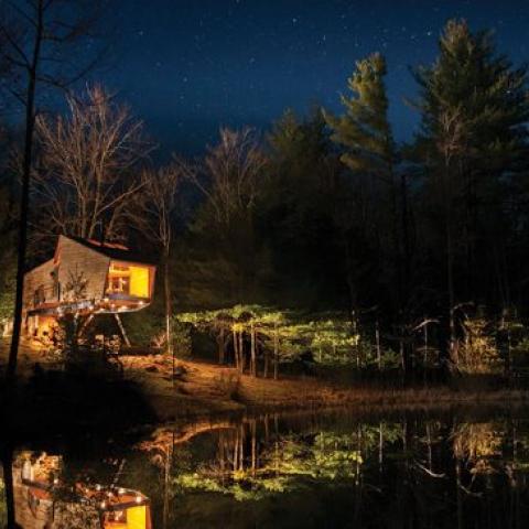 cabin, wooded, wood, pond, lake, glass, fireplace, 