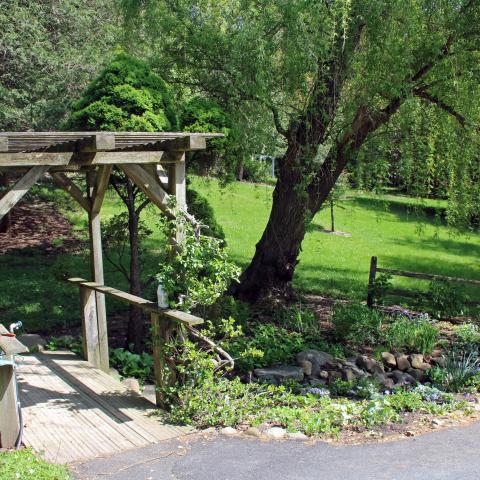 suburban, pool, garden, 