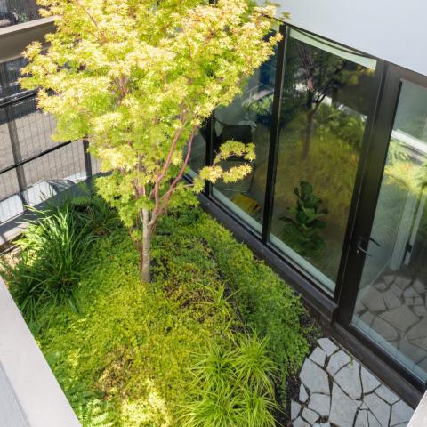 townhouse, modern, glass, light, rooftop, staircase, white, 