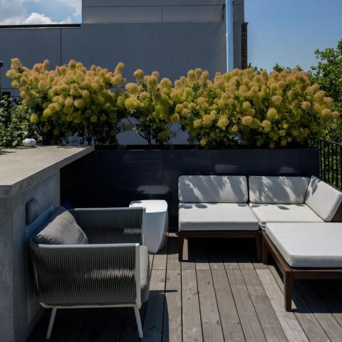 townhouse, modern, glass, light, rooftop, staircase, white, 