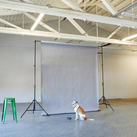 industrial, warehouse, studio, white, wood, 