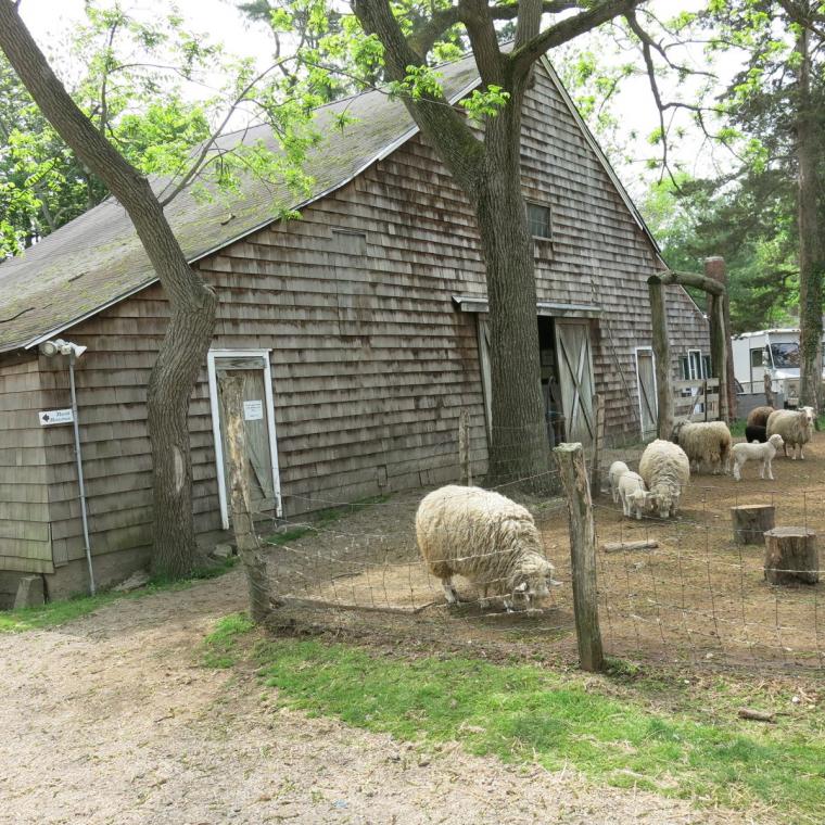 farm, farmhouse, stable, barn, 