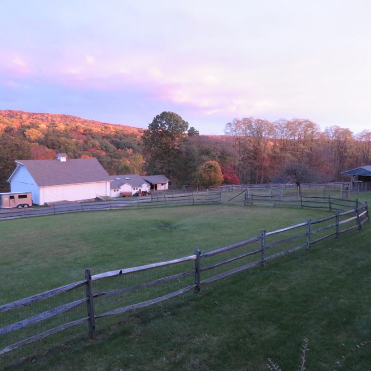 farm, field, barn, 