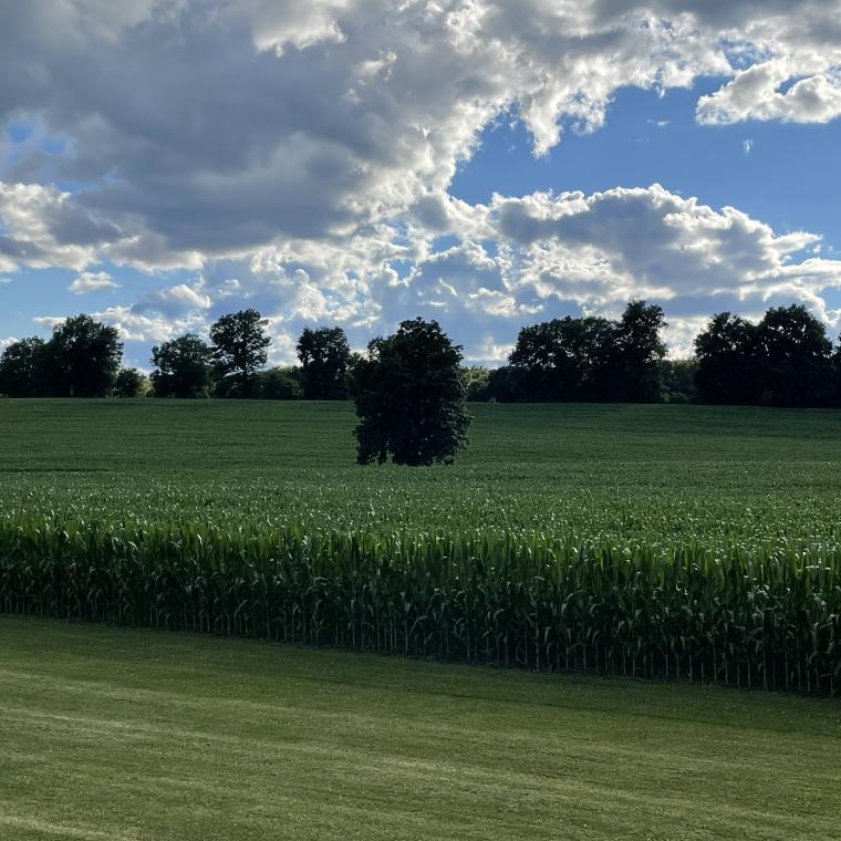 farmhouse, farm, rural, country, field, lake, barn, porch, 