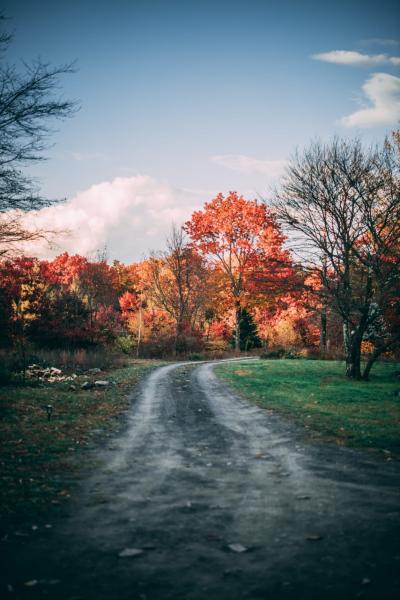 cabin, barn, lake, water, rural, country, wooded, deck, 