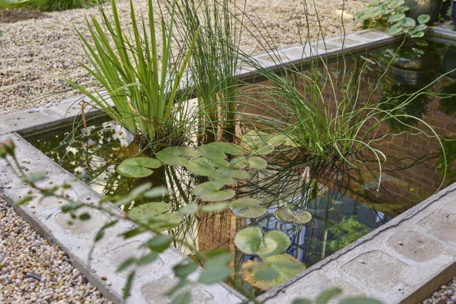 industrial, light, concrete, garden, textured walls, 