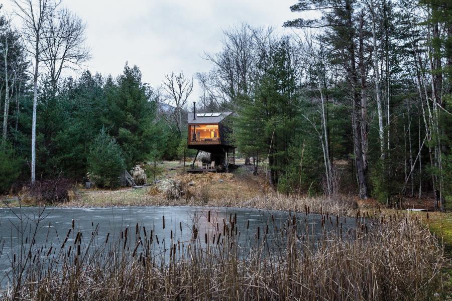 cabin, wooded, wood, pond, lake, glass, fireplace, 