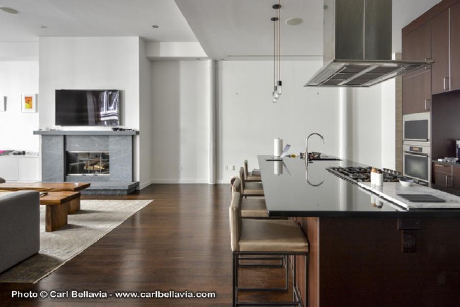 loft, apartment, contemporary, bathroom, kitchen, rooftop, 