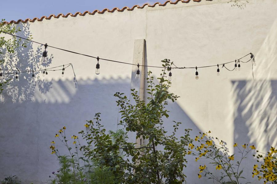 industrial, light, concrete, garden, textured walls, 