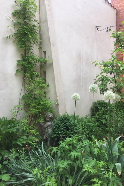 industrial, light, concrete, garden, textured walls, 