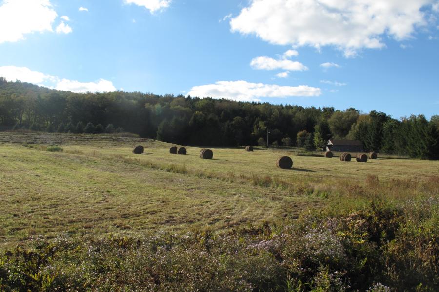 country, rural, barn, farm, 