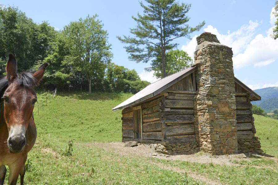 farm, farmhouse, field, water, pond, rural, stone, barn, Asheville, 