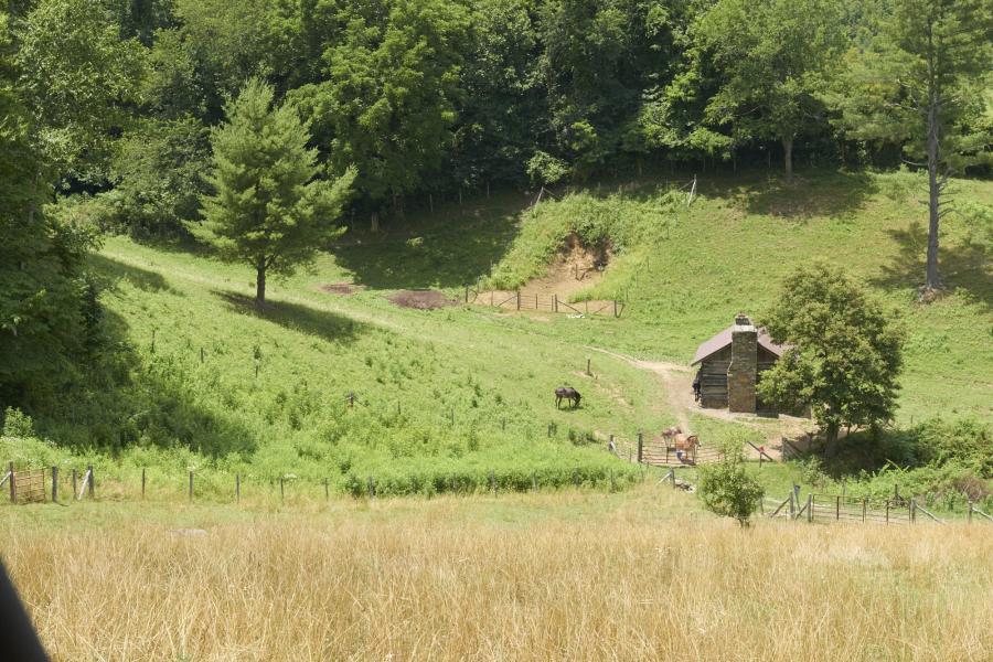 farm, farmhouse, field, water, pond, rural, stone, barn, Asheville, 