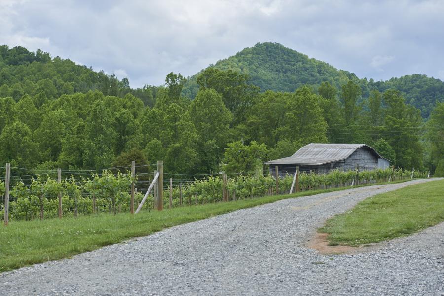 farm, farmhouse, field, water, pond, rural, stone, barn, Asheville, 