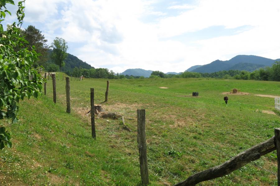 farm, farmhouse, field, water, pond, rural, stone, barn, Asheville, 