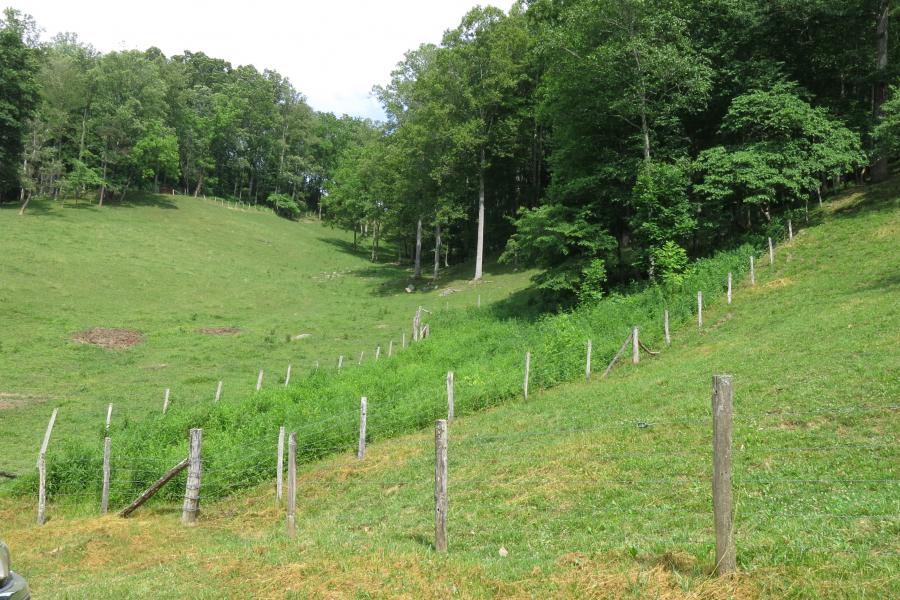 farm, farmhouse, field, water, pond, rural, stone, barn, Asheville, 