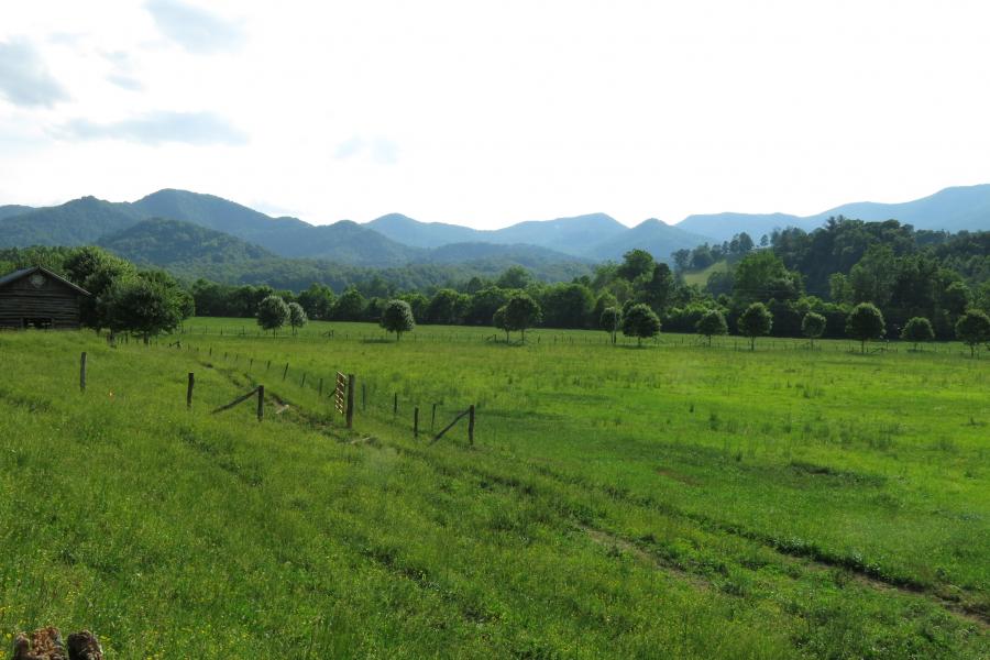 farm, farmhouse, field, water, pond, rural, stone, barn, Asheville, 