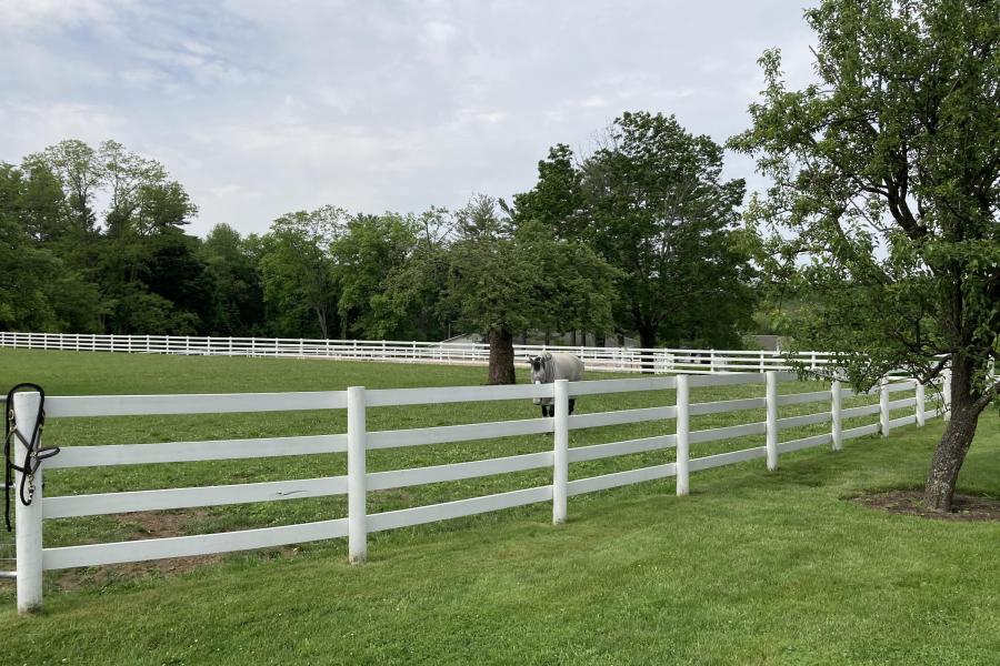 farm, stable, horse, pool, shingled, deck, kitchen, upscale, 