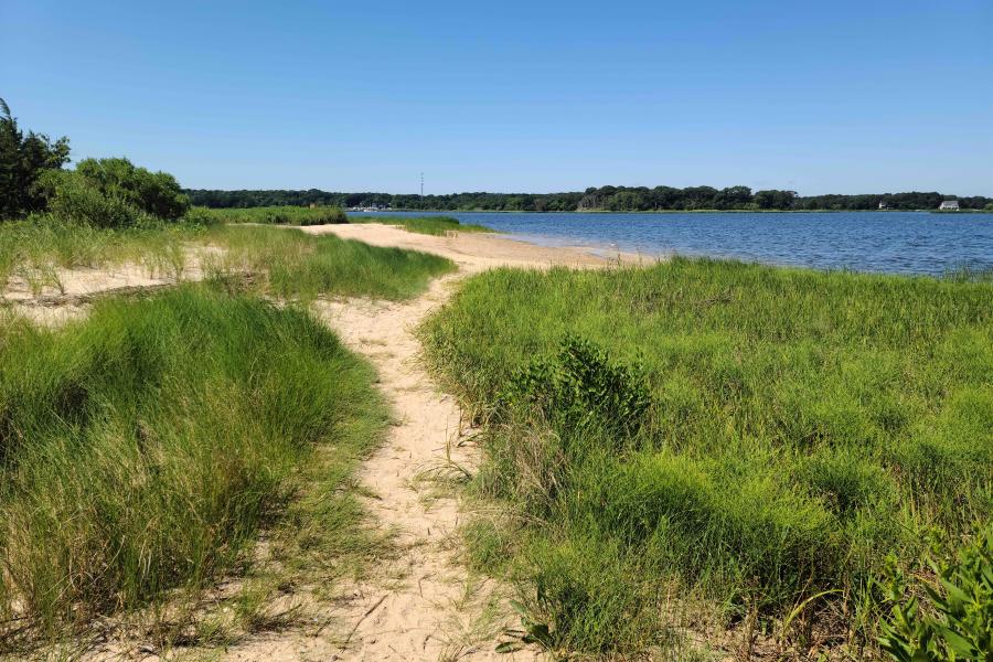 Hamptons, beach, water, deck, white, light, 