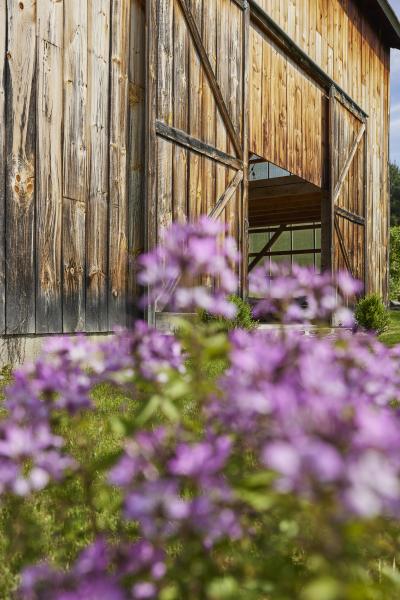 barn, farmhouse, farm, rural, 