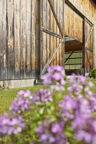 barn, farmhouse, farm, rural, 