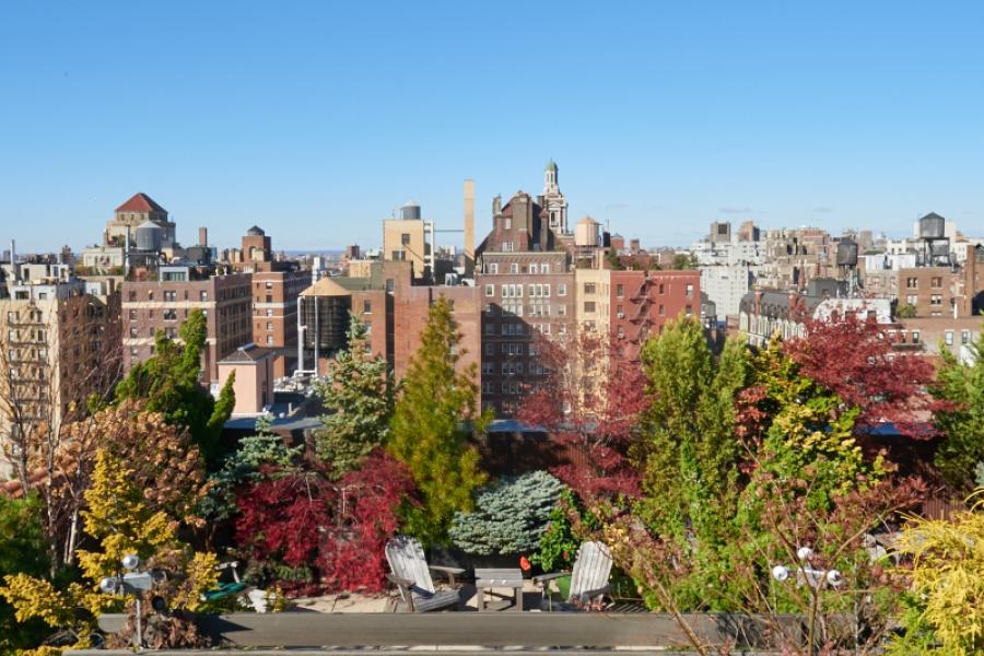 apartment, contemporary, rooftop, deck, 