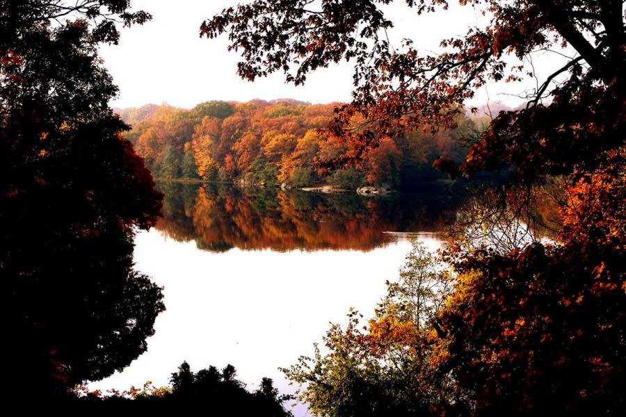 lake, rural, artist, water, colorful, 