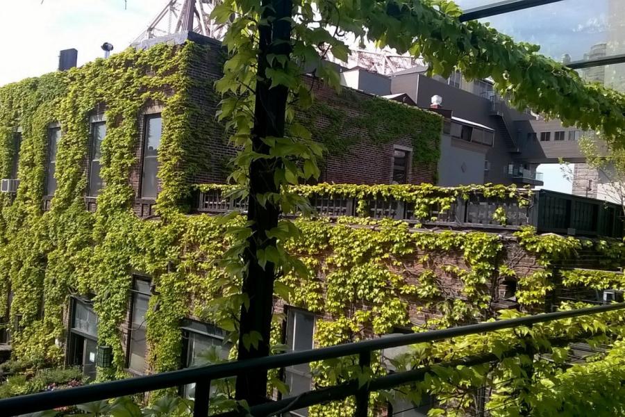 distressed, textured walls, industrial, 