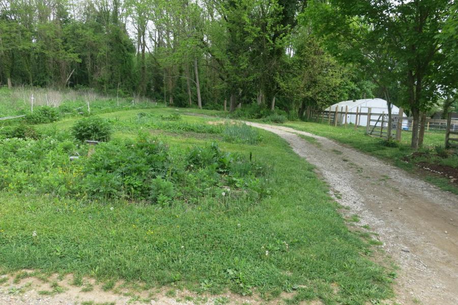 farm, farmhouse, stable, barn, 