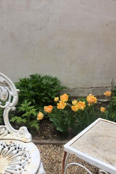 industrial, light, concrete, garden, textured walls, 