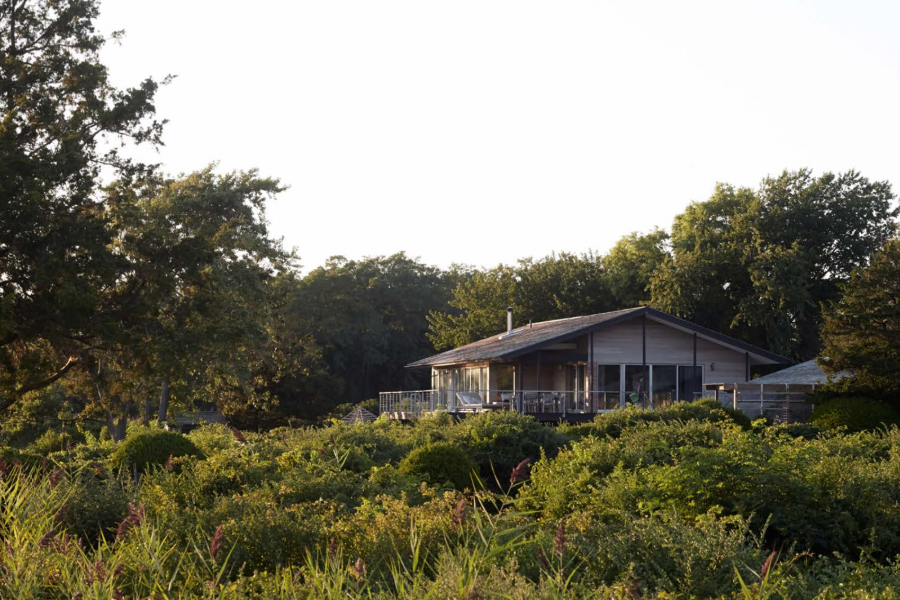 Hamptons, rustic, deck, pool, water, 