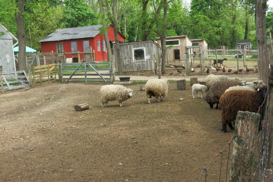 farm, farmhouse, stable, barn, 