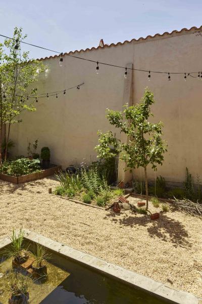 industrial, light, concrete, garden, textured walls, 