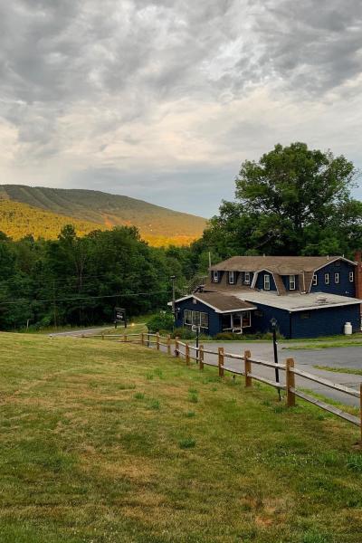 country, cabin, hotel, funky, fireplace, wooded, 