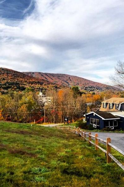 country, cabin, hotel, funky, fireplace, wooded, 