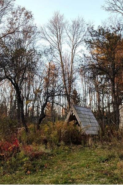 country, cabin, hotel, funky, fireplace, wooded, 