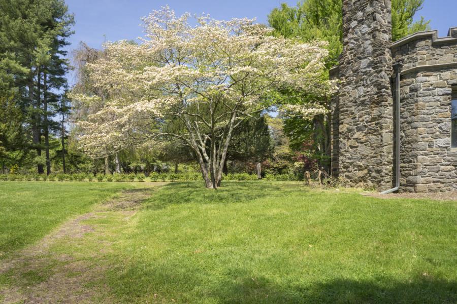 mansion, estate, empty room, traditional, grand, garden, 