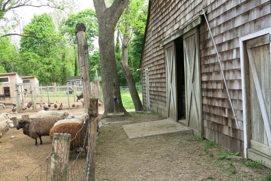 farm, farmhouse, stable, barn, 